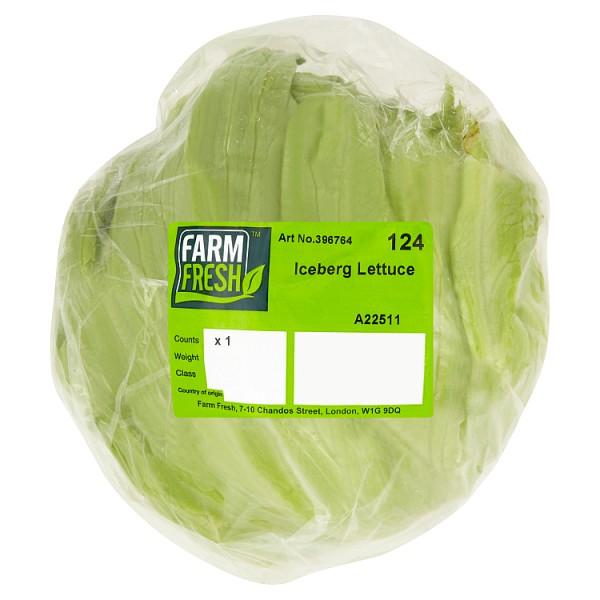 Farm Fresh Iceberg Lettuce (ESSENTIALS)